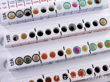 Microbact Oxidase Teststreifen 1x100 items 