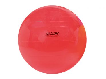 Physio-Therapieball, mittel, Ø 55 cm, rot 1x1 Stück 