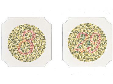 Colour plates like Ishihara, book with 24 plates 1x1 items 